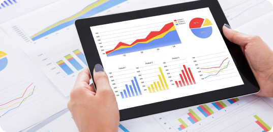 Profit and loss analytics dashboard for car rental business in UAE on Appic Fleet
